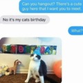 Cats birthday meme