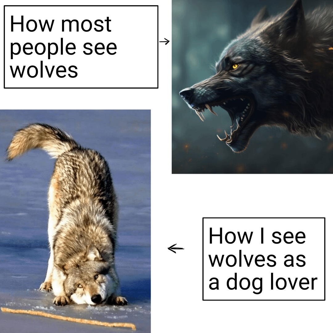 Wolves are cool - meme