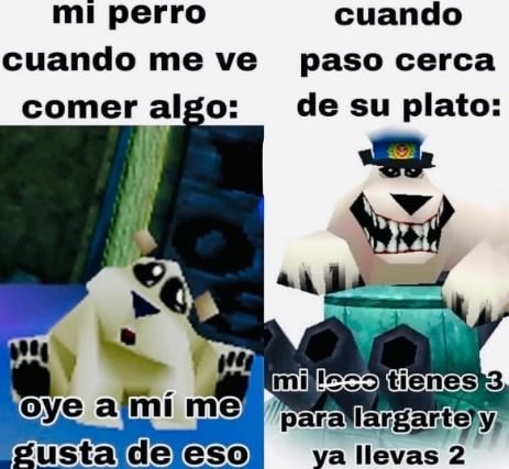 Comportamiento de perros al comer - meme