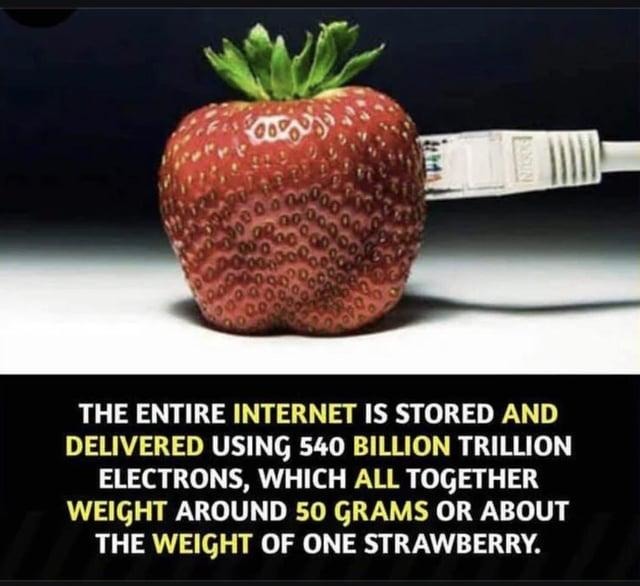 The internet weighs as much as a strawberry and that’s enough science for today - meme