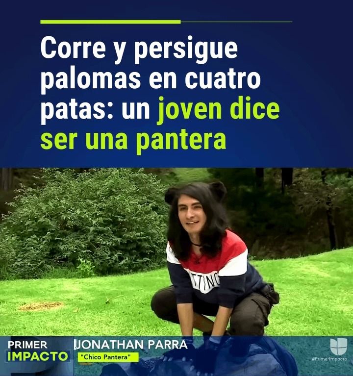 No estaría mal que un cazador lo ponga en su lugar. :memedroid: