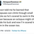 Just when you thought it was safe to go back in the ocean.....