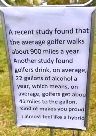Guess I should pick up golfing... - meme
