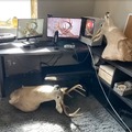 commented item thumbnail