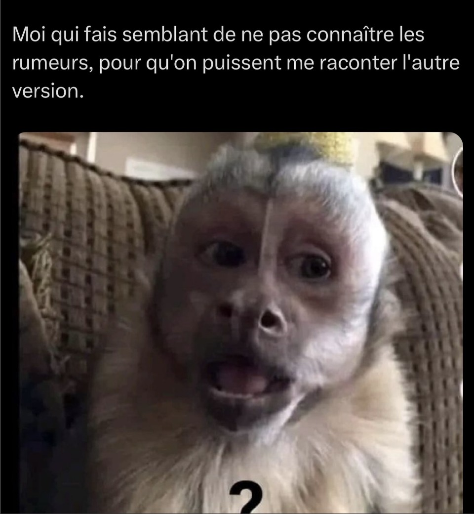 reel - meme