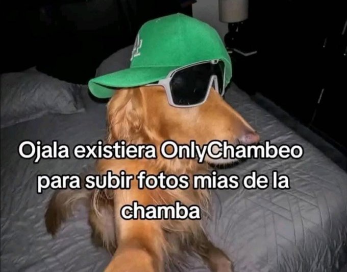 OnlyChambeo - meme
