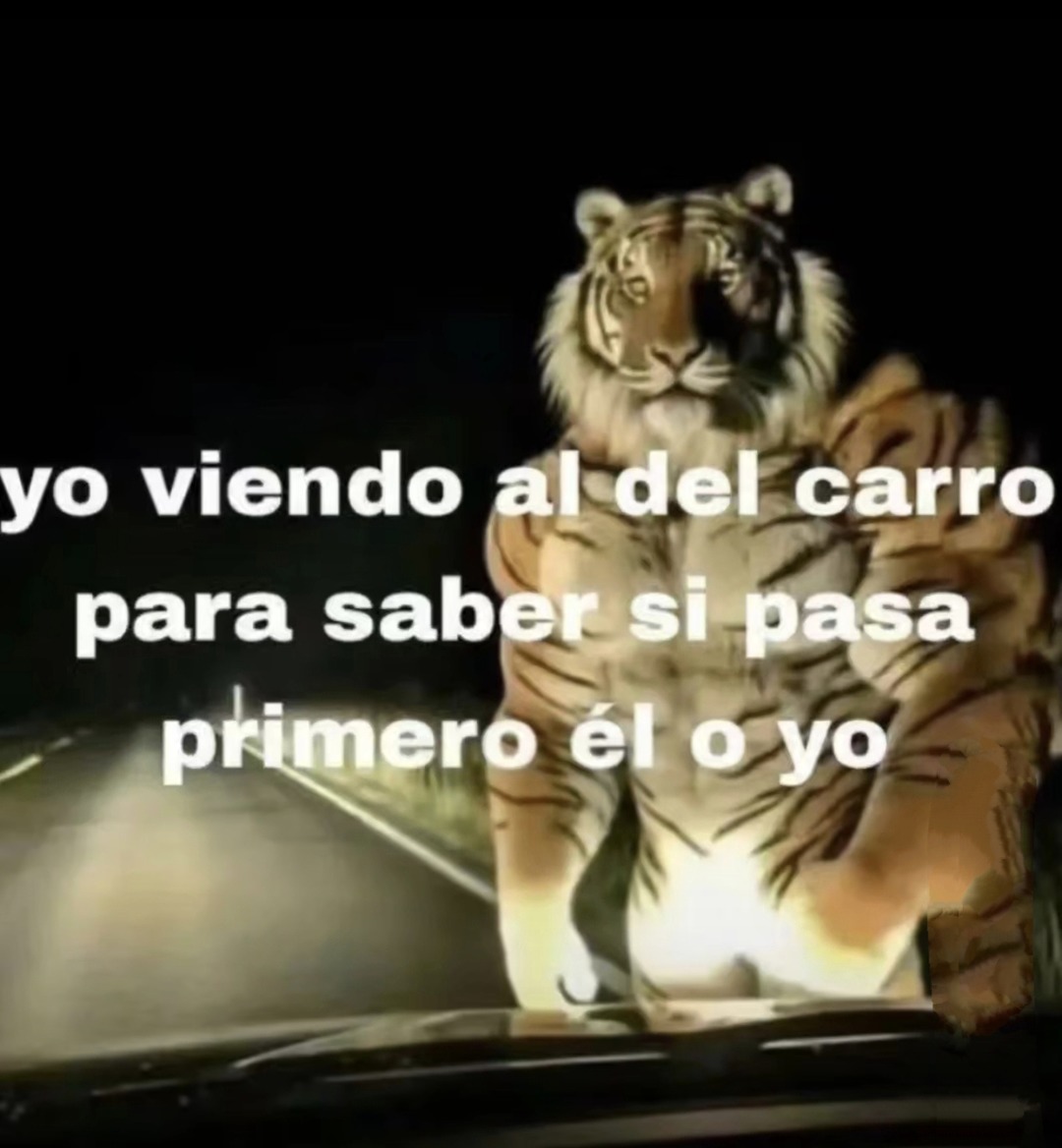 Mirando al del coche con la mente pa ver si pasa él primero - meme