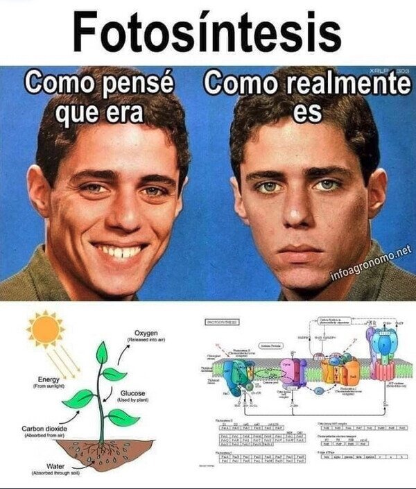 TODA EL SIGNIFICADO CAMBIA EN 6° - meme