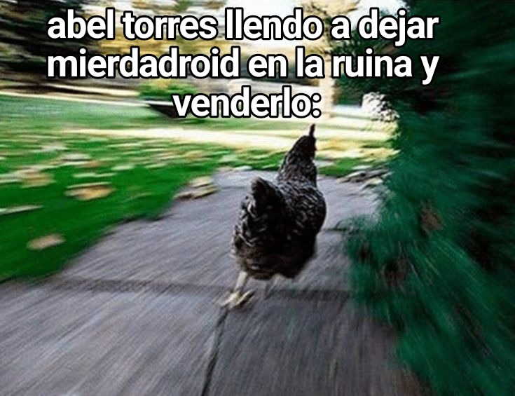 Abel torres creador de memedroid (gaydroid o mierdadroid)