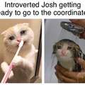 Introverted Josh getting ready to go to the coordinates