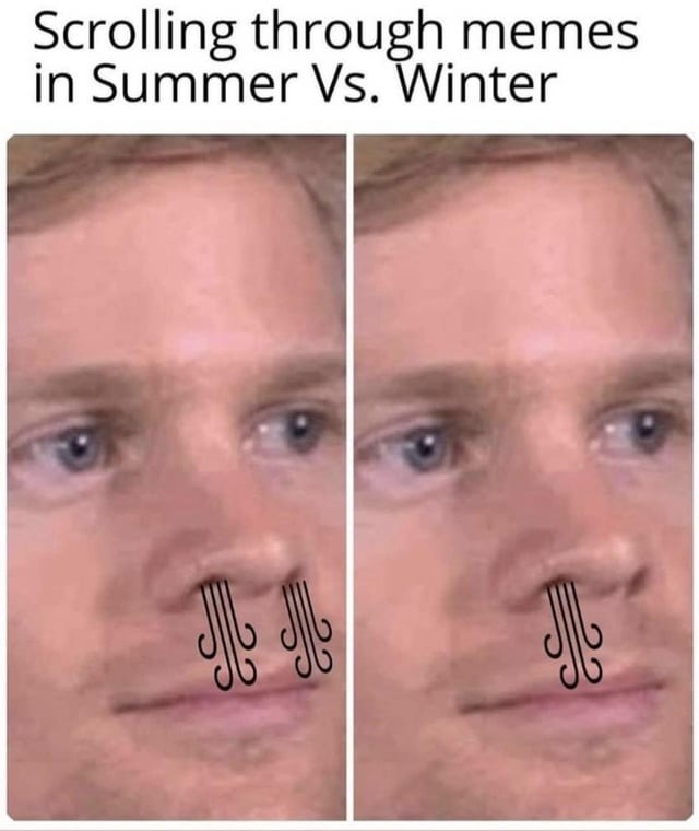 Summer vs Winter - meme