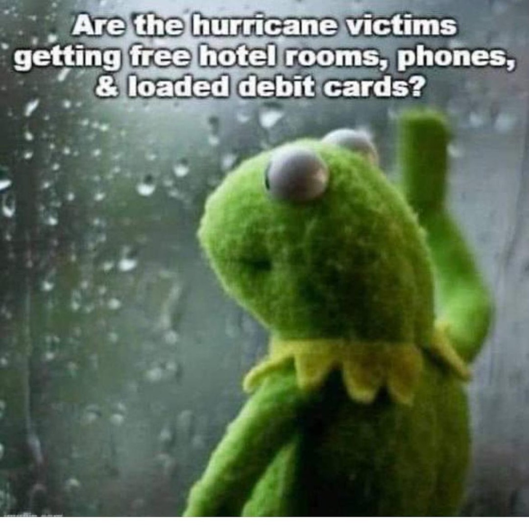 I doubt it - meme