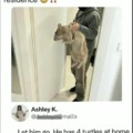commented item thumbnail