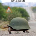 Panzer turtle