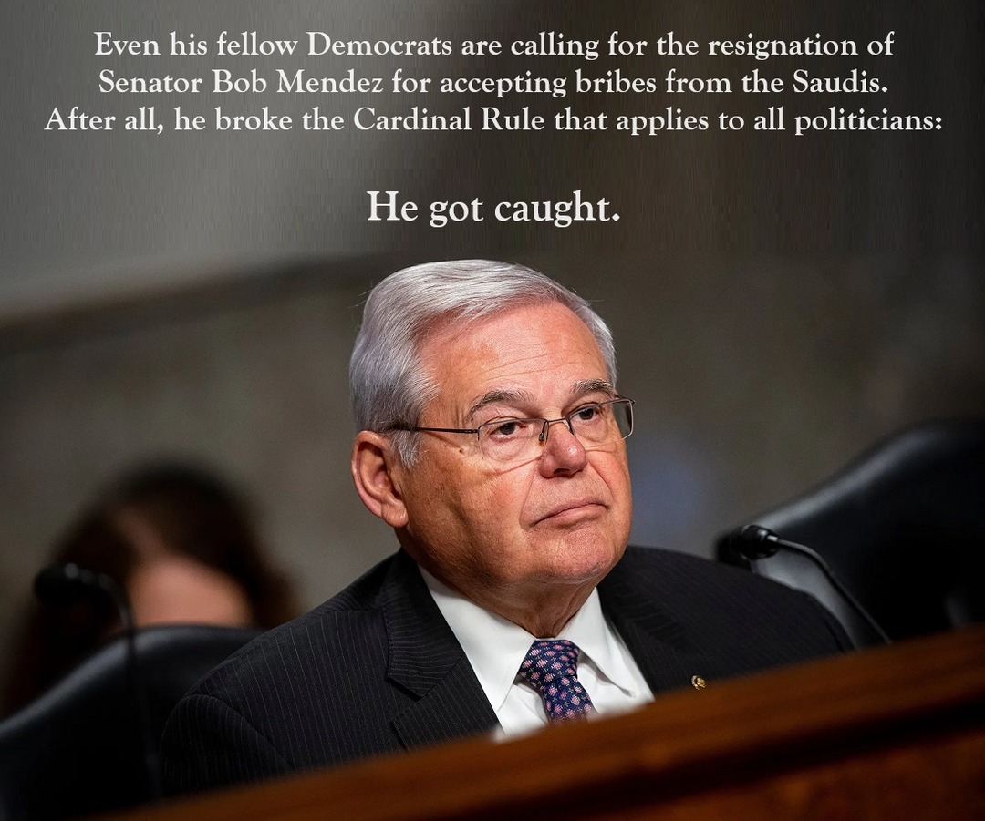 Another crooked politician in our midst? Say it ain't so! - meme