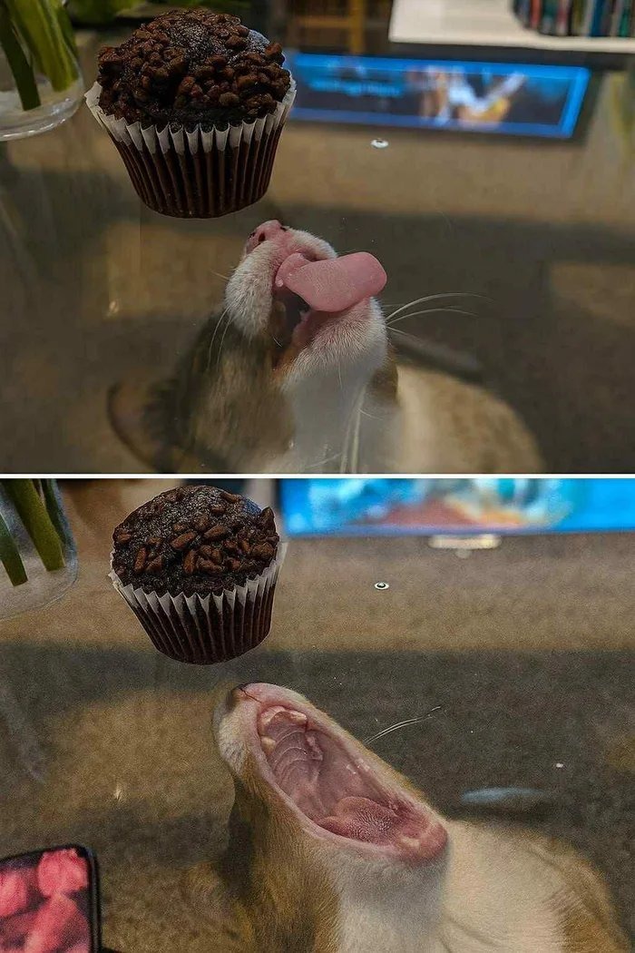 So.... close.... - meme