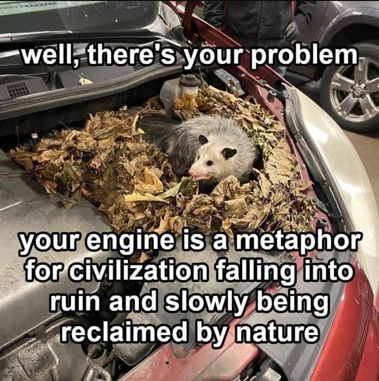 Finally a good mechanic - meme