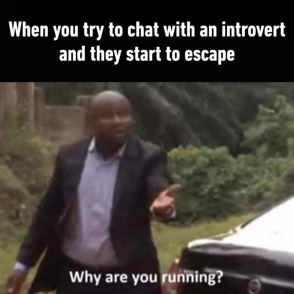 Damn introverts - meme