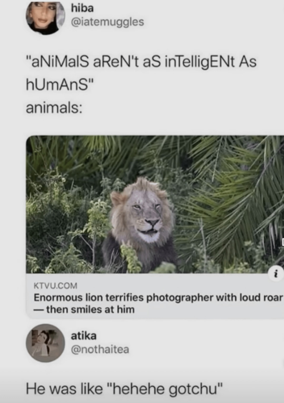 Troll wholesome lion - meme