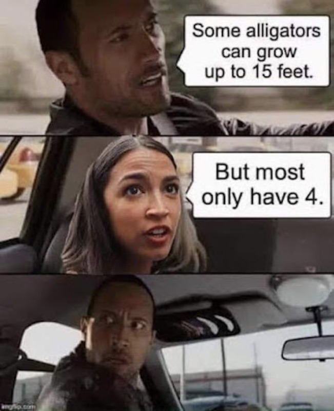 Dumb bitch - meme