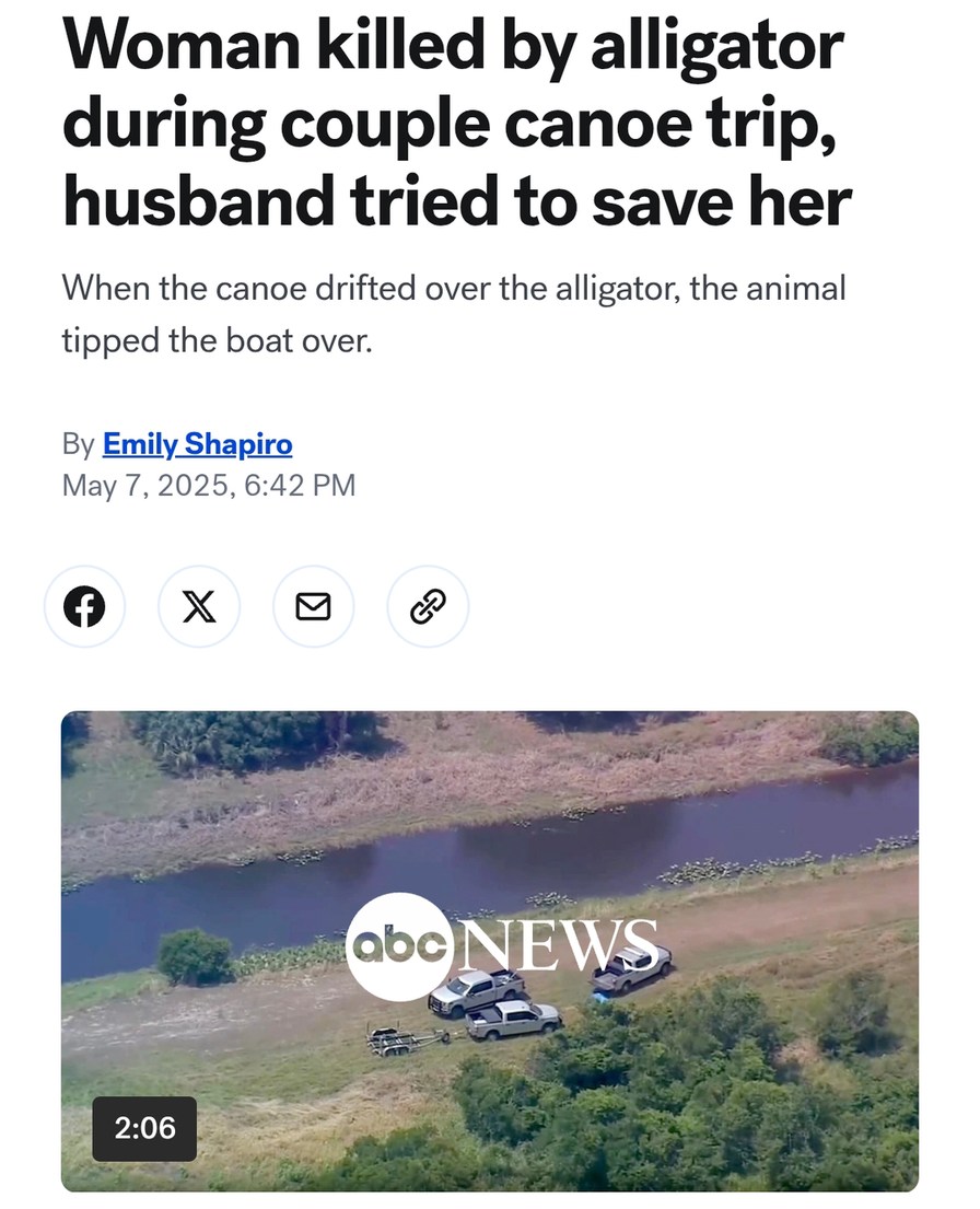 Alligator attack turns couple’s canoe trip into tragedy - meme