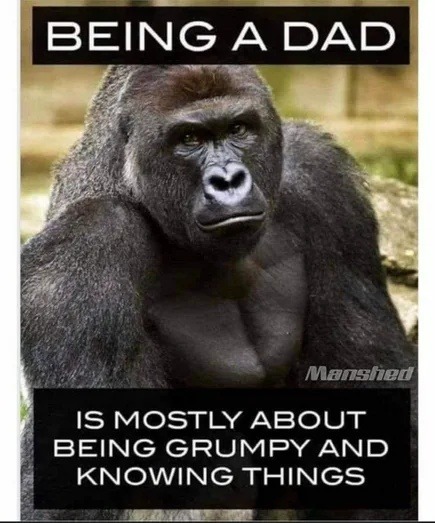 Being a dad is 90% grumpiness, 10% obscure facts - meme