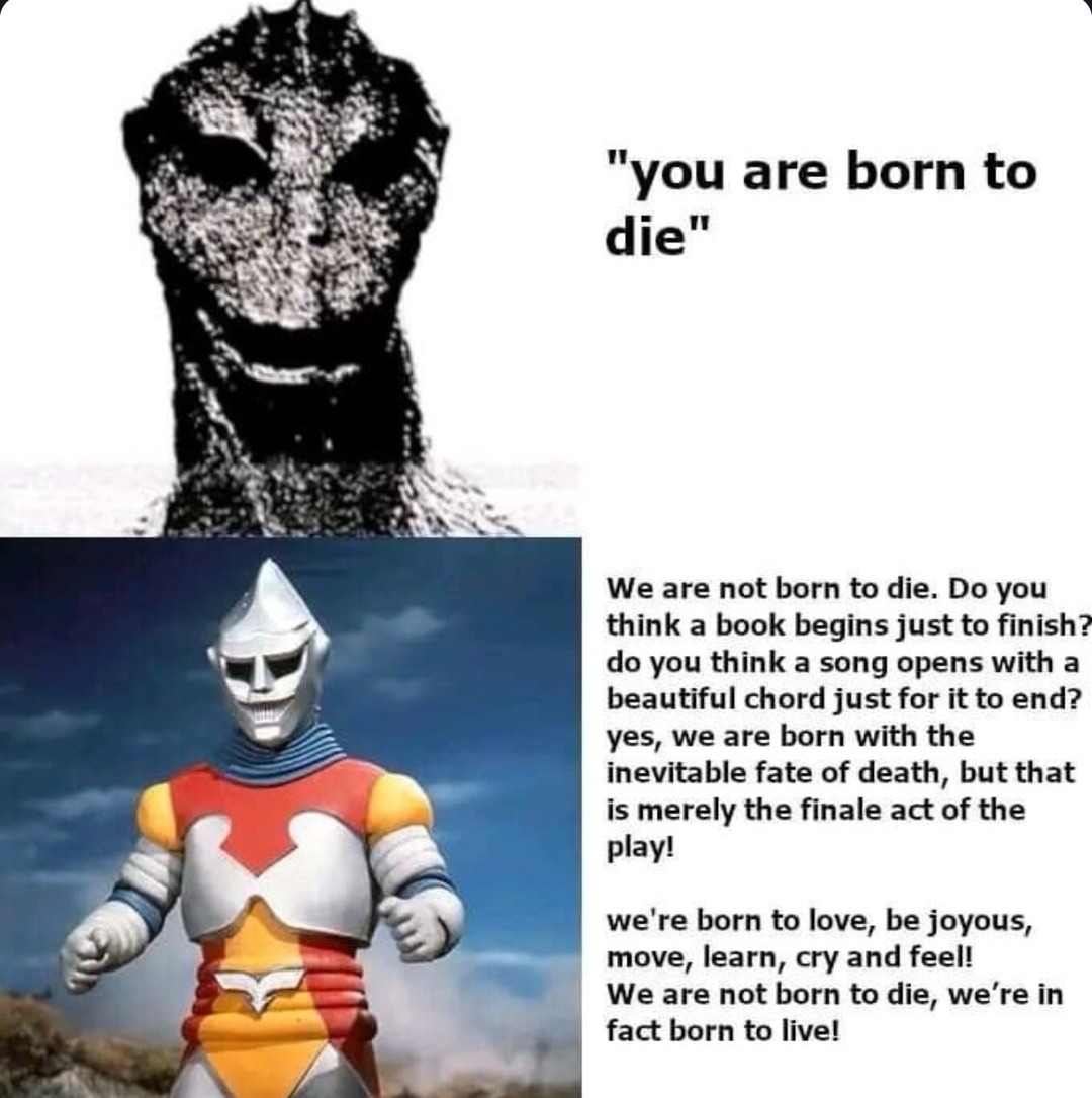 You weren't born to die, you were born to vibe - meme