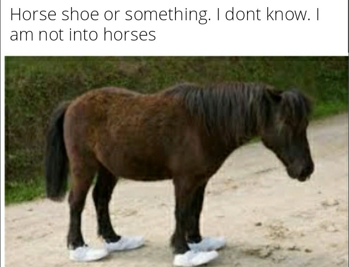 Horse shoe - meme