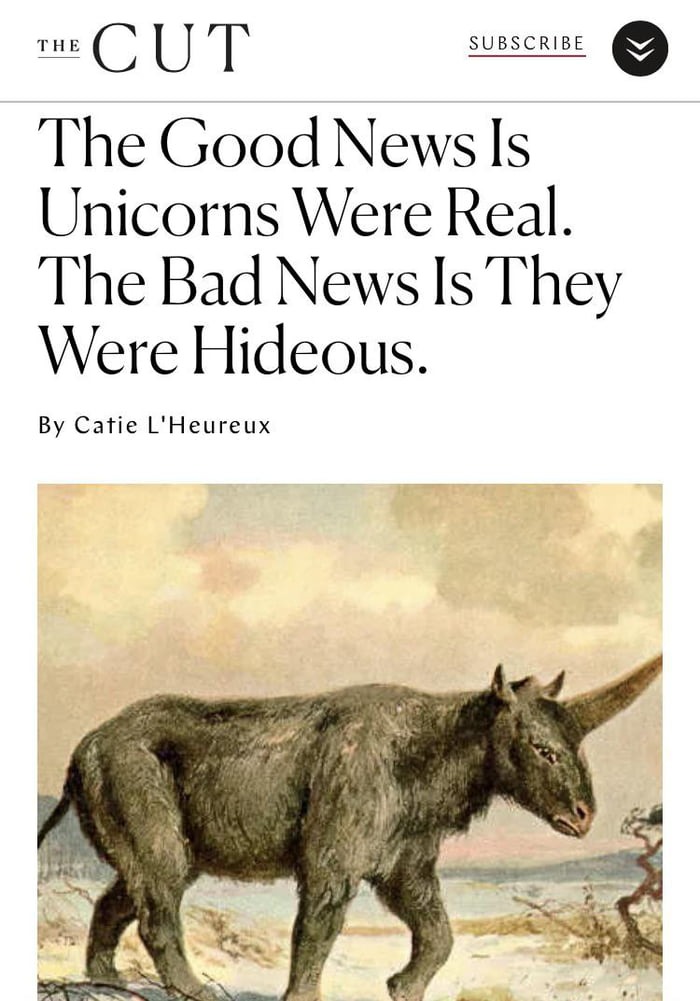 Unicorns were hideous - meme