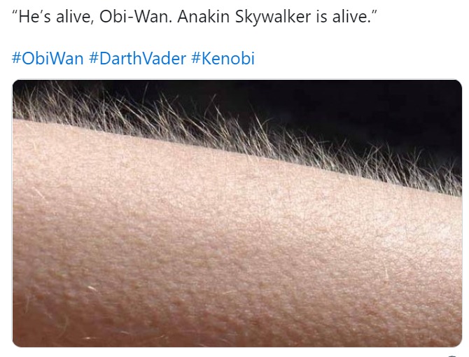 Anakin Skyalker is alive meme