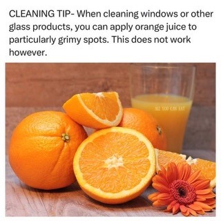 This brings joy - meme