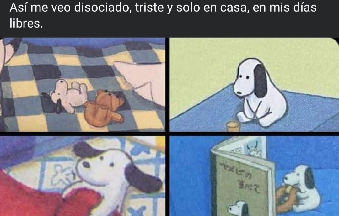 Si :/ - meme