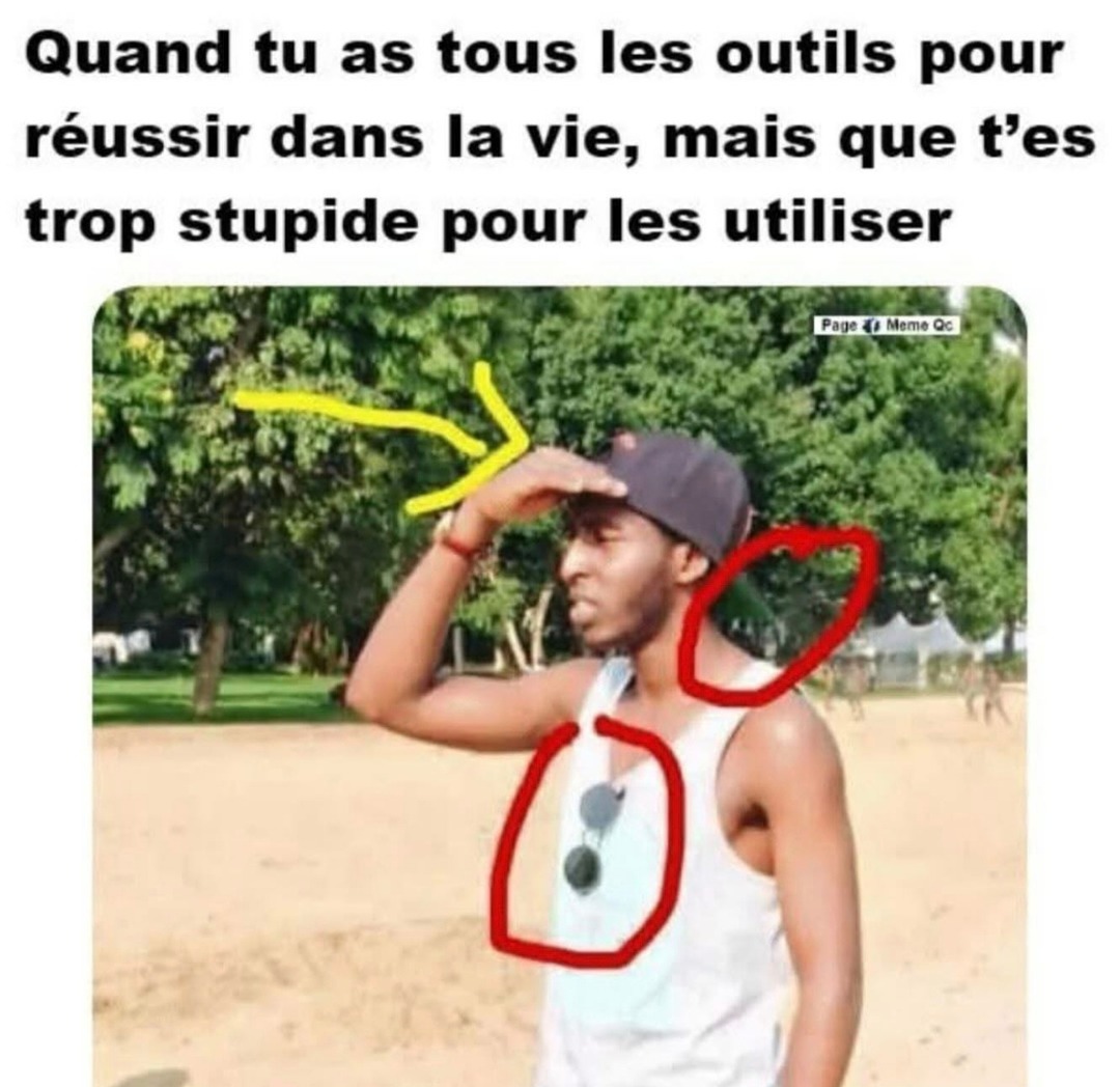 T'as tout pour réussir sauf le cerveau activé - meme