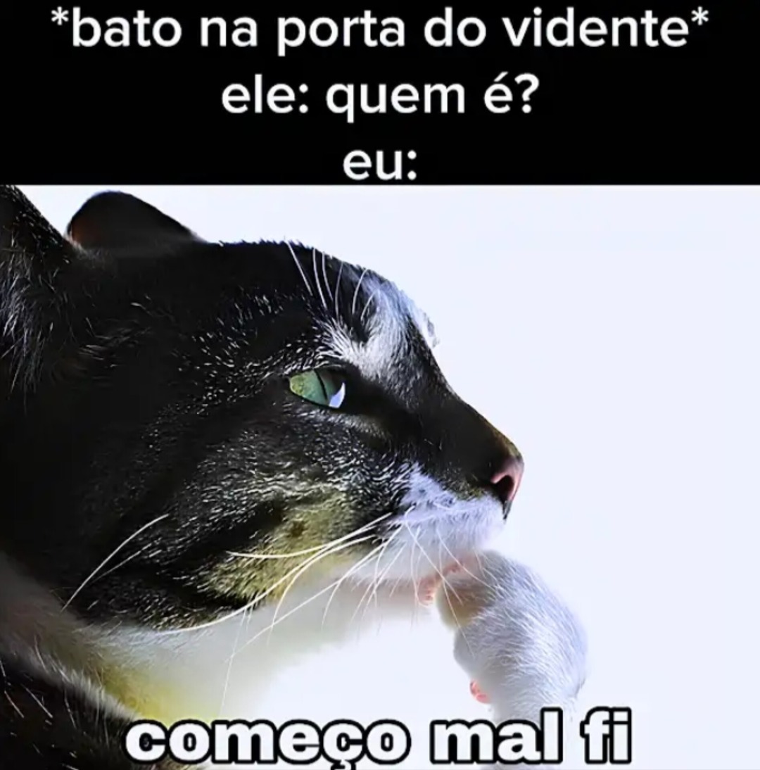 Vidente - meme