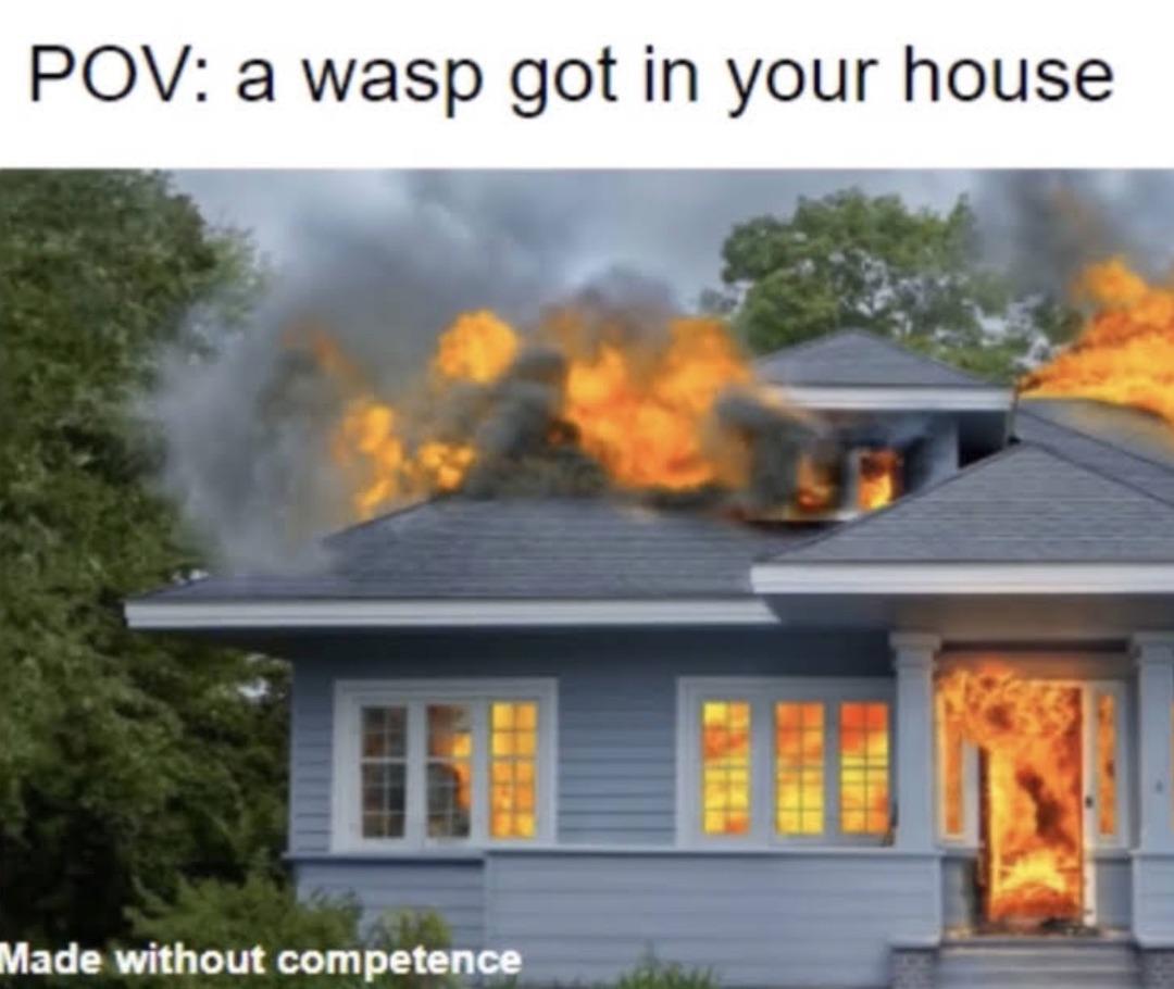 wasps or spiders - meme