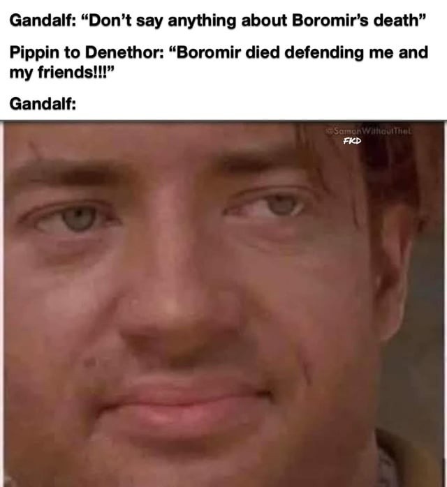 Pippin: overshares. Gandalf: mentally preparing to explode - meme