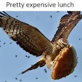 Pretty expensive lunch