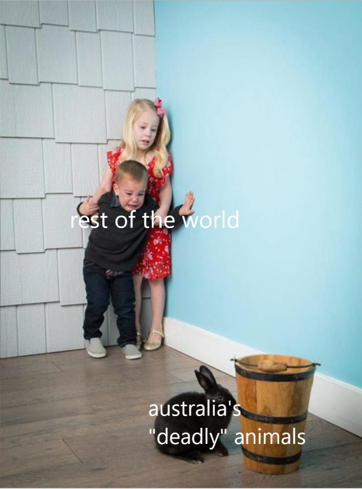 australia so scary lmao - meme