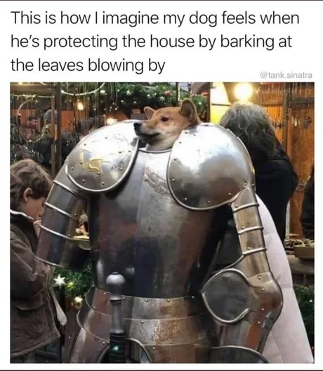 The dog is the protector of the house - meme
