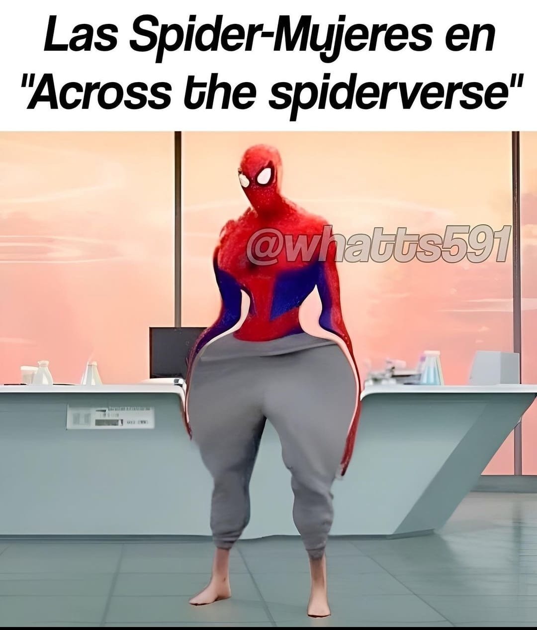 Mujeres de Spiderman across the spiderverse - meme