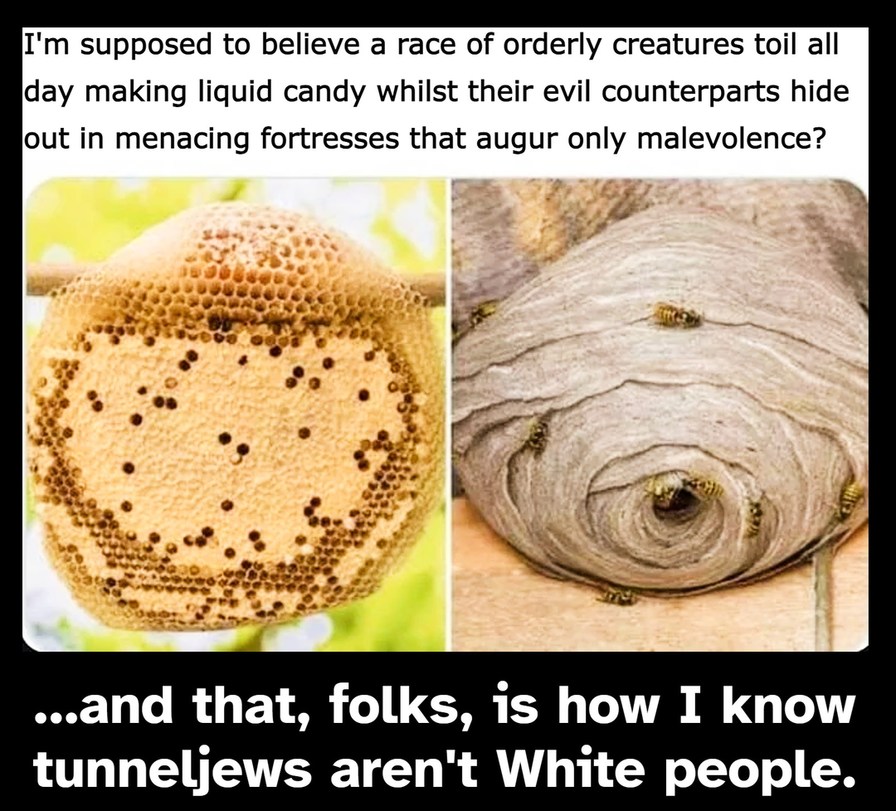bees and wasps an shit - meme