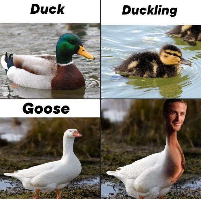 Ryan Gosling - meme
