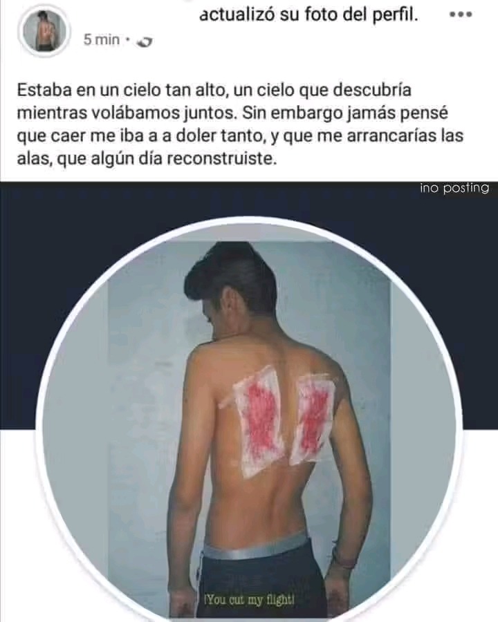 Publicaciones estúpidas en Facebook - meme