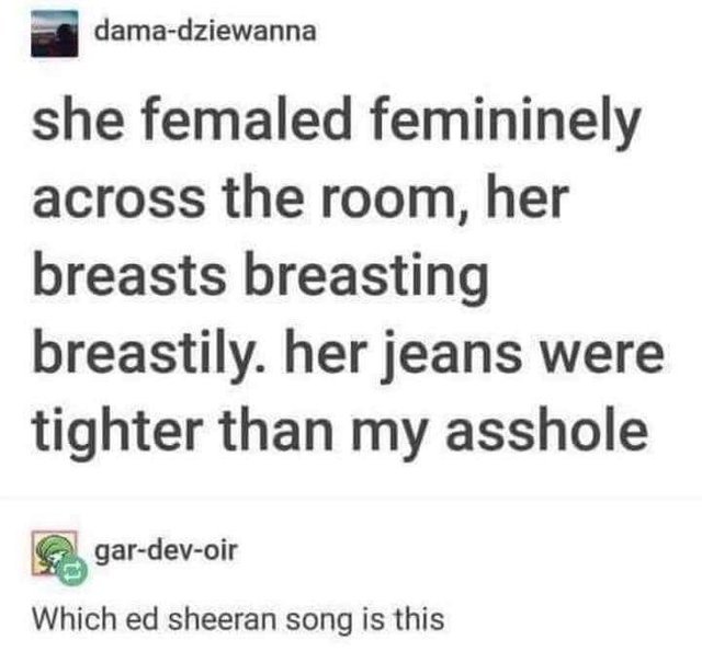 Ed Sheeran song lyrics - meme
