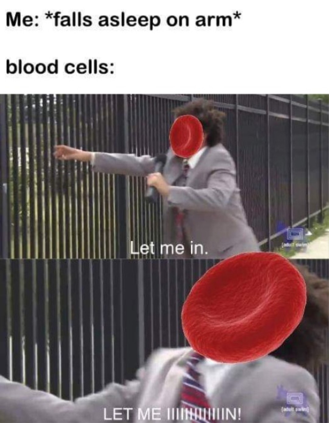 Sangue celulares - meme