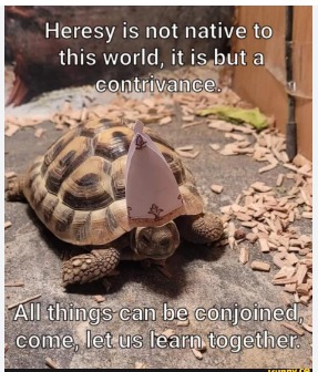 Preacher Turtle - meme