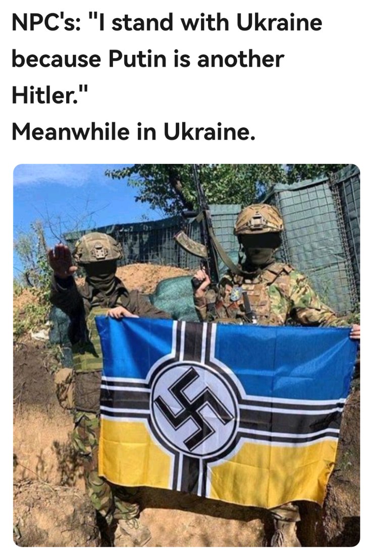 I stand with fascists because I don't like fascism - meme