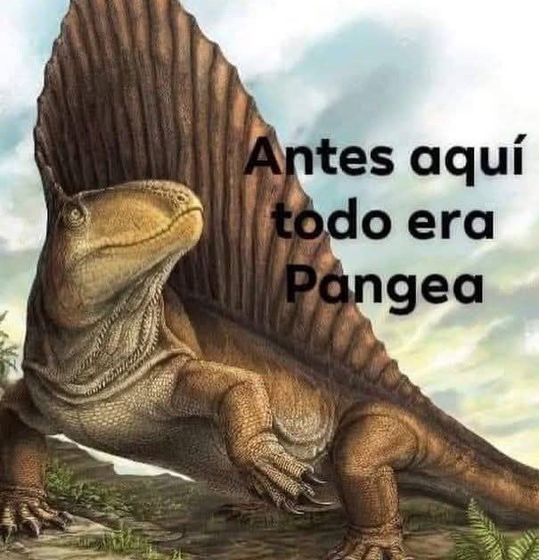 Cuando todo esto era Pangea - meme