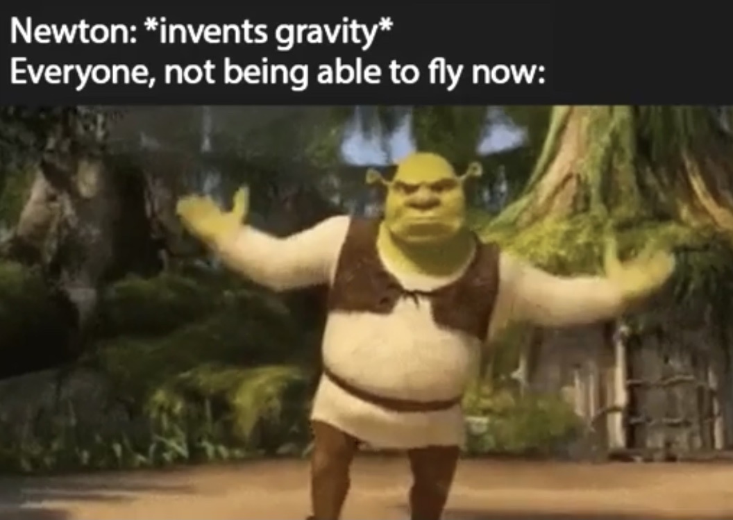 I believe I can fly - meme