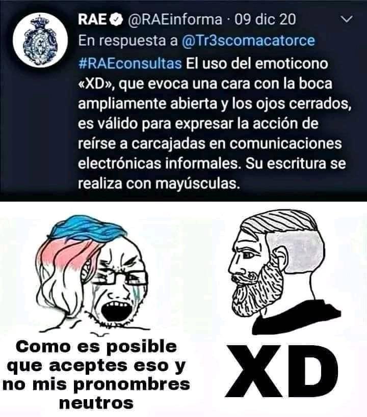 xd - meme